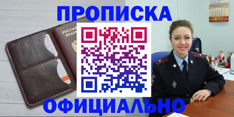 прописка в Курчалом